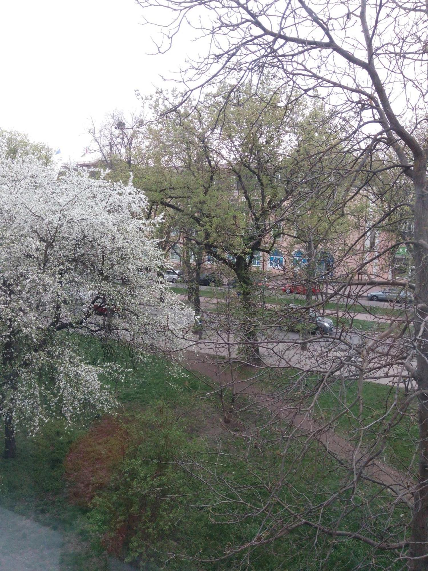 Квартира Студія В Центрі Міста Філармонія Khmelʼnytsʼkyy Bagian luar foto